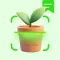 Plant Note: Identifier & Care