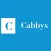 Cabbys Driver