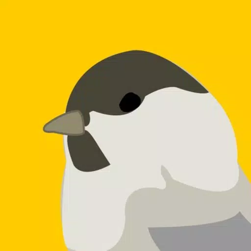 Caching Birds