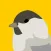 Caching Birds
