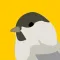 Caching Birds