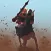 Knights Revenge
