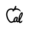 CalMate-Food Calorie Tracker