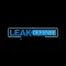 Leak Defense System