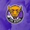 The Bison Radio