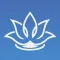 Relax Melodies & Sleep Sounds.
