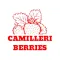Camilleri Berries