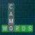 Camo Words - Word Find Puzzles