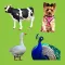 Animal Sounds Quiz For Kids