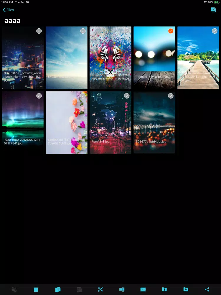 SMB Explorer - For Shares,NAS iPad Screenshots