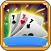 29 Card Kings Game