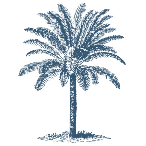 Casa Palmera Casa Palmera