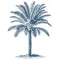 Casa Palmera