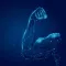 Fit Radio Workout Music FM
