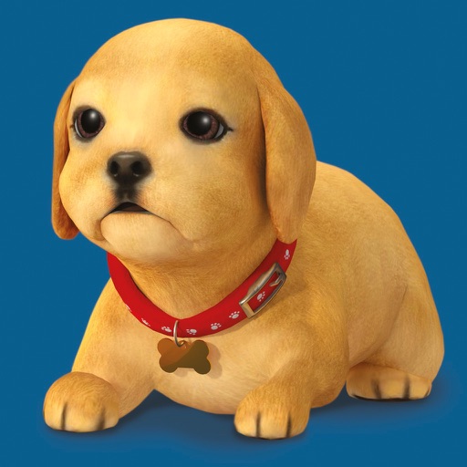 My Perfect Puppy My Perfect Puppy