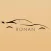 Ronan Driver