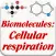 Biomolecules: Cell respiration