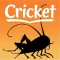 Cricket Mag: Literature & Art