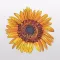 Flower Sticker Pack Vol.4