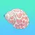 Seashell Sticker Pack