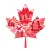 Canada Visa Tracker