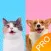 Pet Translator&Pet Simulator