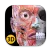 Anatomy 3D Atlas