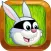 Robber Rabbit Run