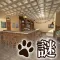 Escape game Cat's treats Detective3 ～Tavern Darts Bar～