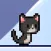 Slipping Cat