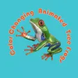 Color Changing Tree Frogs
