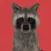 Raccoonical