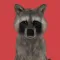 Raccoonical