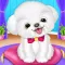 Puppy Care Game