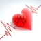 Pet's Wellness