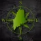 USBP Maine