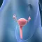 Obstetrics and Gynecology