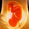 Obstetrics and Gynecology Nursing Manual