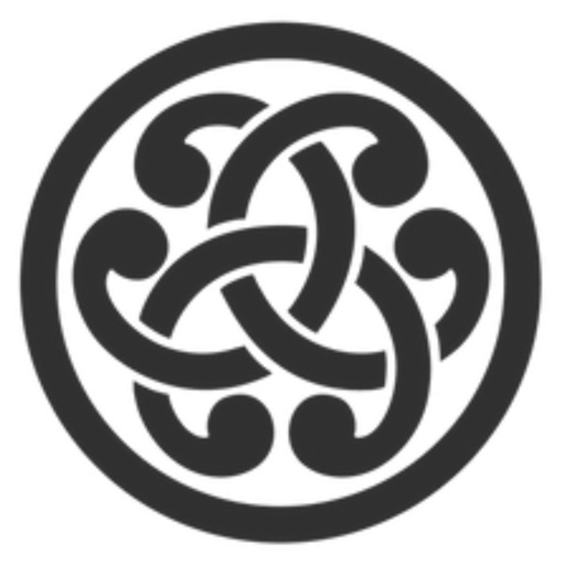 BJJ Training Notes BJJ Training Notes