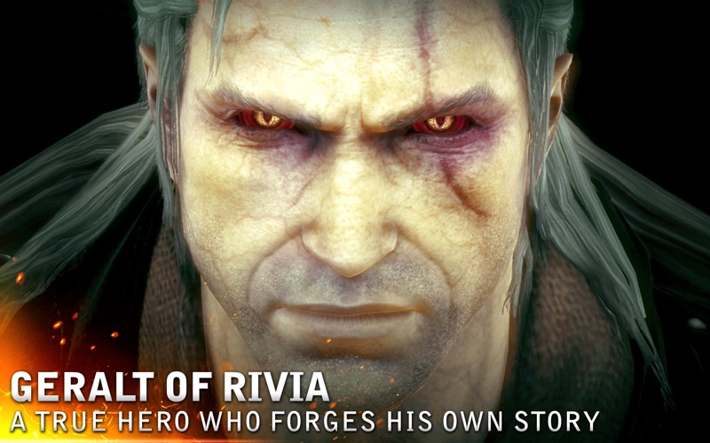 The Witcher 2 स्क्रीनशॉट