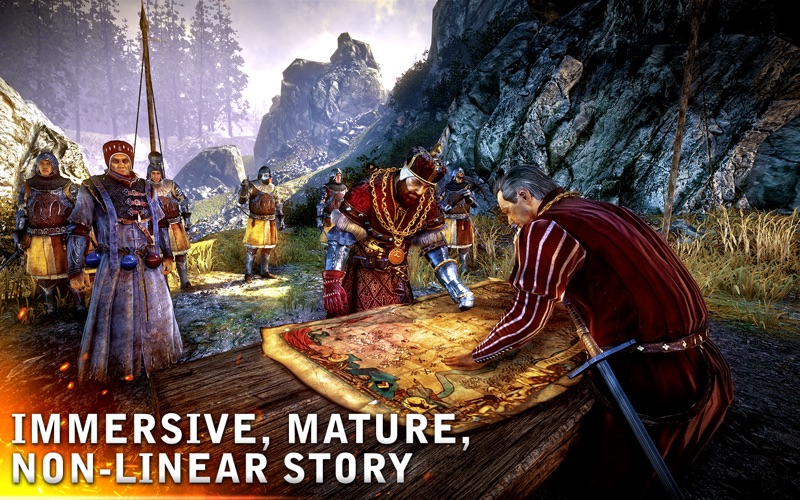 The Witcher 2 स्क्रीनशॉट