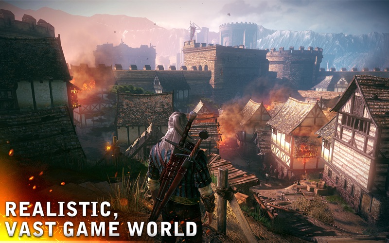 The Witcher 2 स्क्रीनशॉट