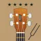 Play The Ukulele
