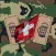 Schweizer Armee: Dienstgrade & Truppen