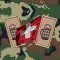Schweizer Armee: Dienstgrade & Truppen