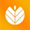 The Celiac App