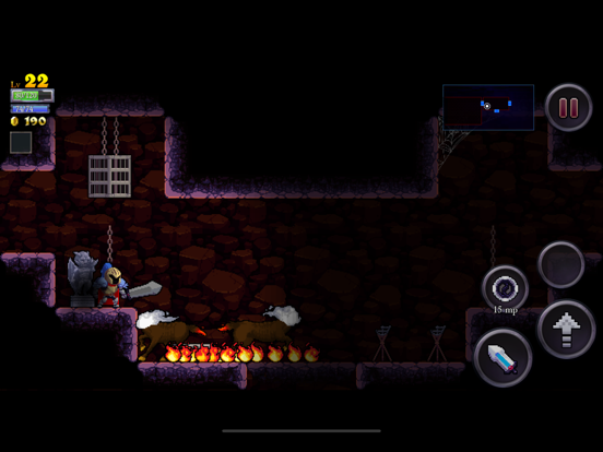 Rogue Legacy iPad  スクリーンショット