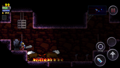 Rogue Legacy スクリーンショット