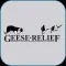 Geese Relief