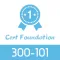 CCNP 300-101 Test Prep